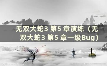 无双大蛇3 第5 章演练（无双大蛇3 第5 章一级Bug）